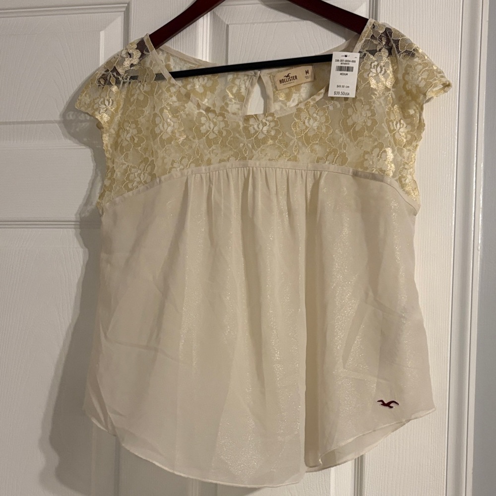 NWT Hollister Women's Sheer Sparkly Lace Blouse